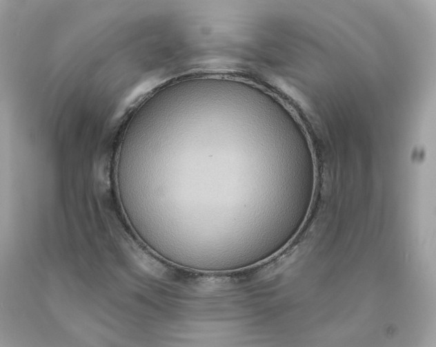 X0000091581451200709051050