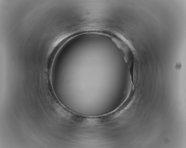 X0000091581453200709051050
