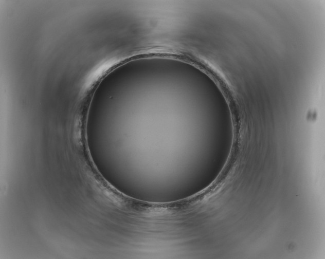 X0000091581455200709051050