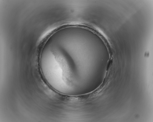 X0000091581456200709051050