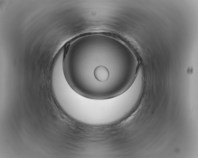 X0000091581457200709051050