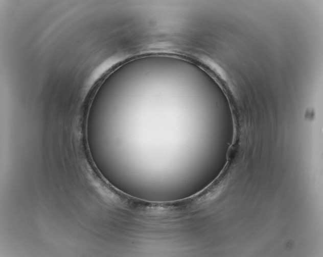 X0000091581458200709051050