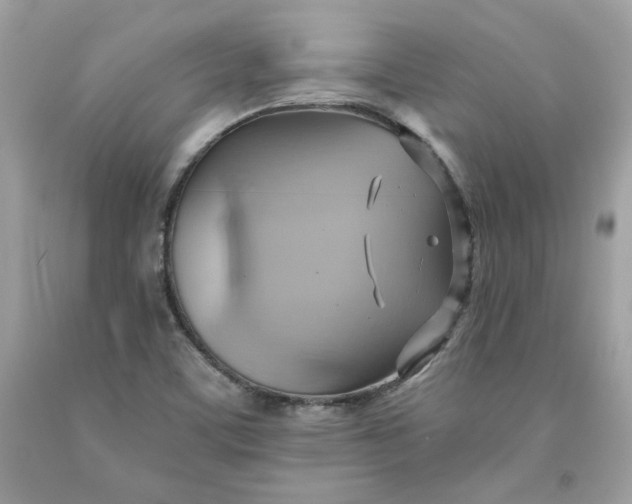 X0000091581459200709051050