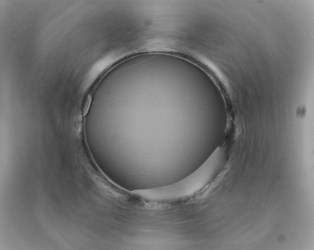 X0000091581461200709051050
