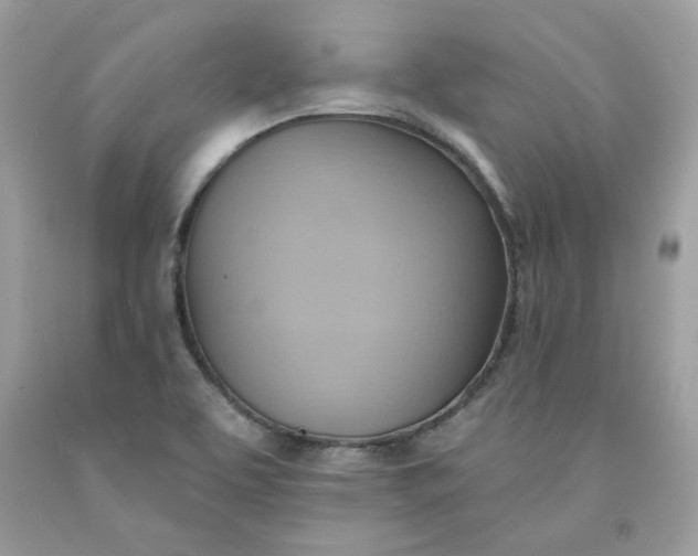X0000091581463200709051050