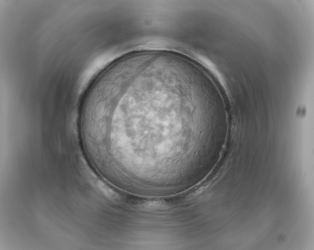X0000091581464200709051050
