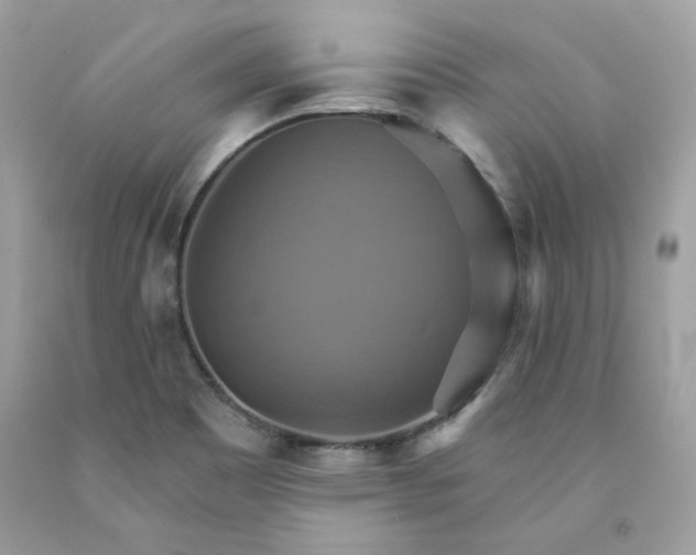 X0000091581465200709051050