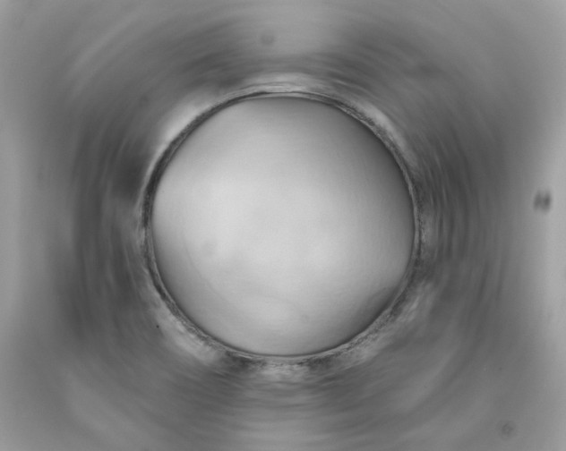 X0000091581466200709051050