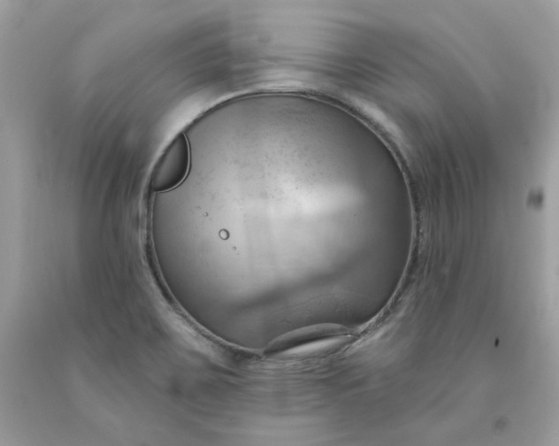 X0000091581467200709051050