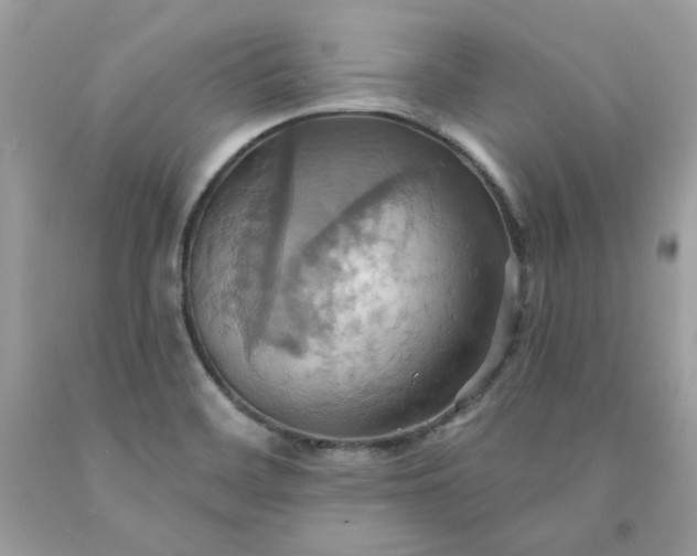 X0000091581468200709051050