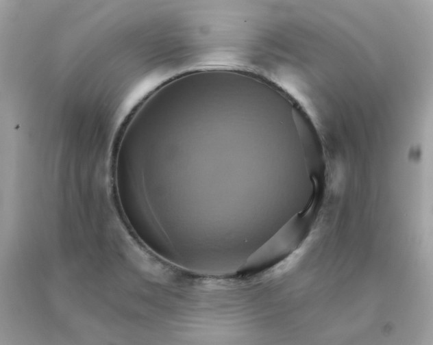X0000091581469200709051050