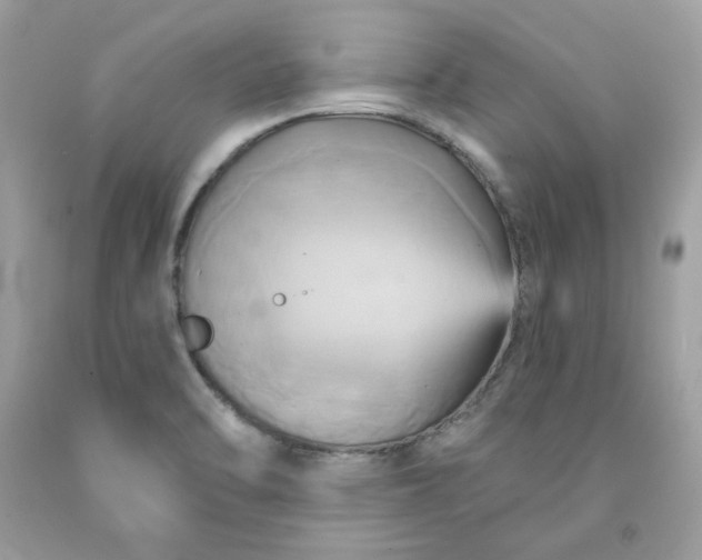 X0000091581470200709051050