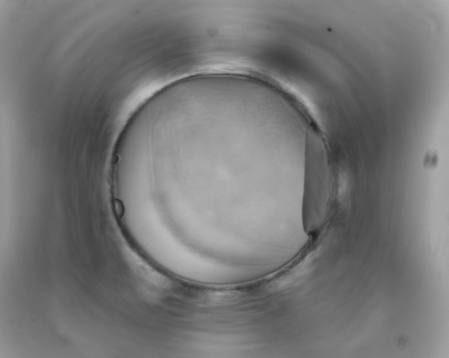 X0000091581471200709051050