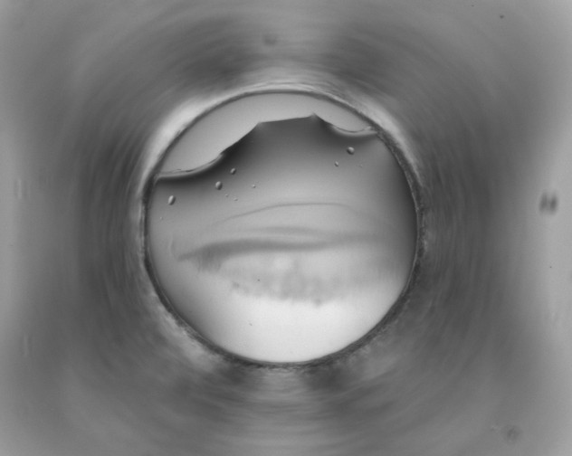 X0000091581472200709051050