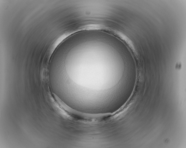 X0000091581473200709051050