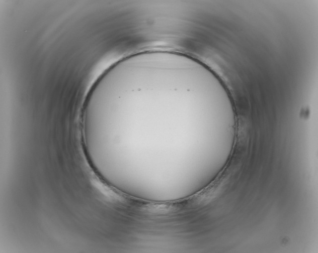 X0000091581474200709051050