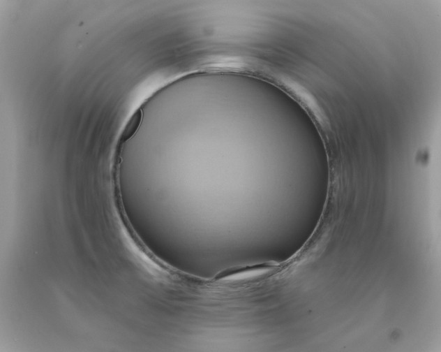 X0000091581475200709051050