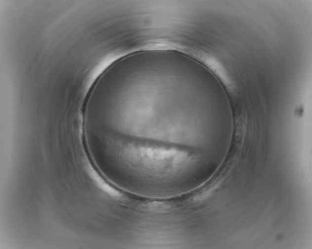 X0000091581476200709051050