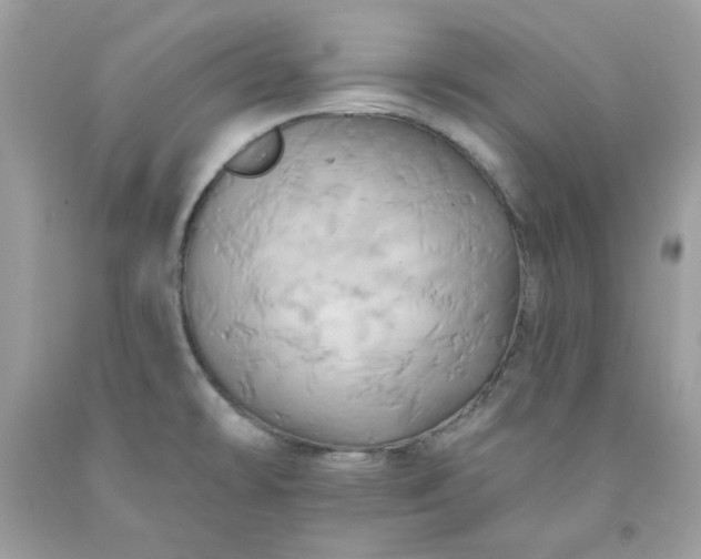 X0000091581478200709051050