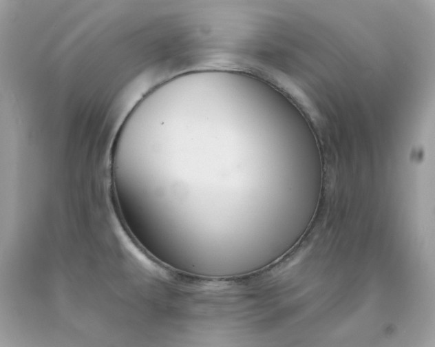 X0000091581479200709051050