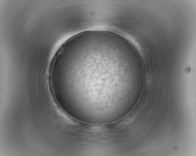 X0000091581480200709051050