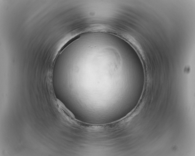 X0000091581481200709051050
