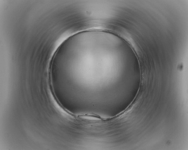 X0000091581483200709051050