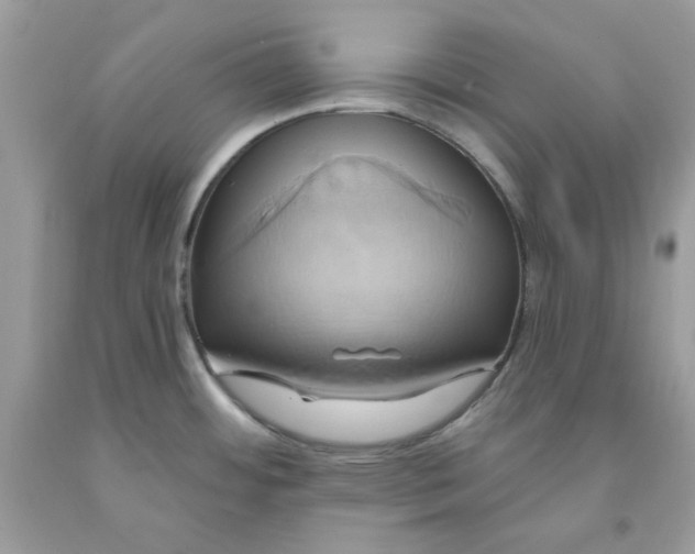 X0000091581484200709051050