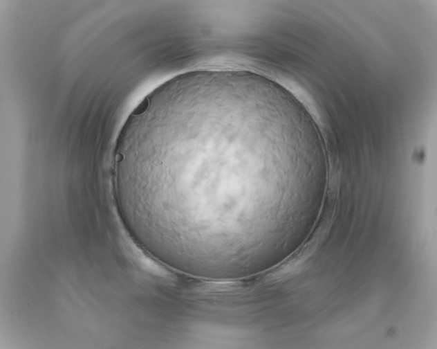 X0000091581486200709051049