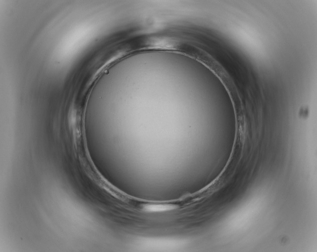 X0000091581487200709051049