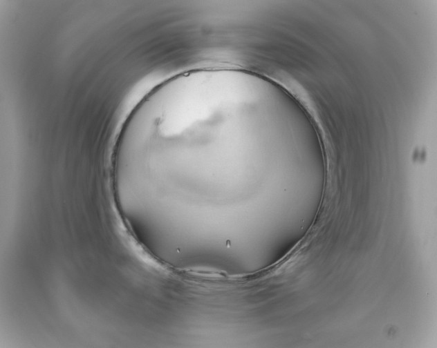 X0000091581488200709051049