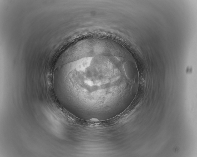 X0000091581490200709051049