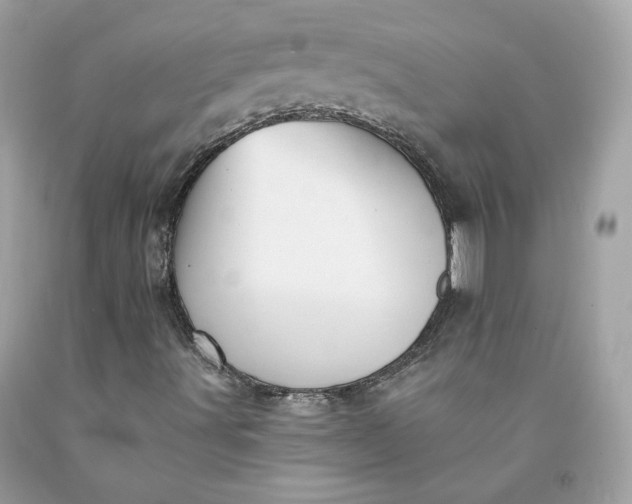 X0000091581491200709051049