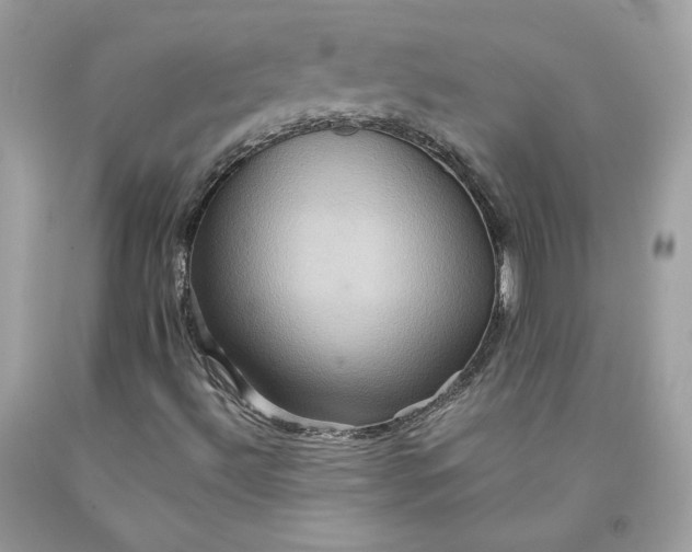 X0000091581492200709051049
