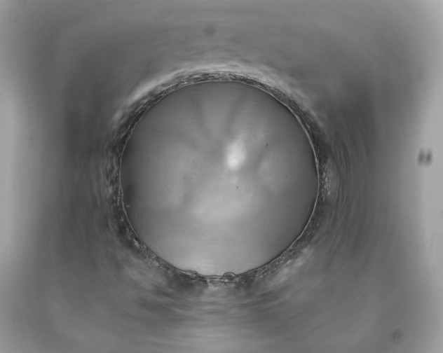 X0000091581494200709051049