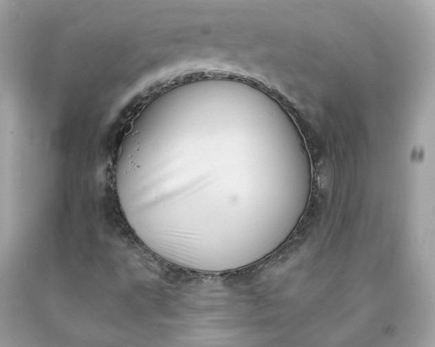 X0000091581495200709051049