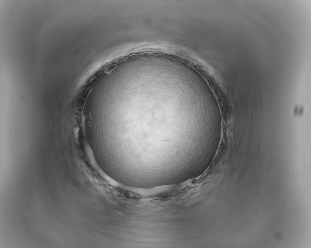 X0000091581496200709051049