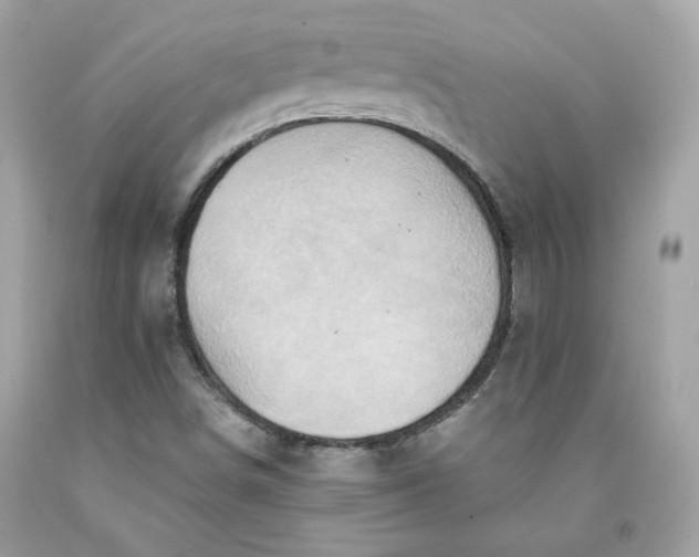 X0000091581498200709051049