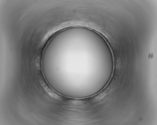 X0000091581499200709051049