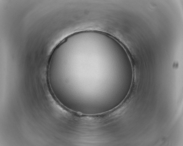X0000091581500200709051049