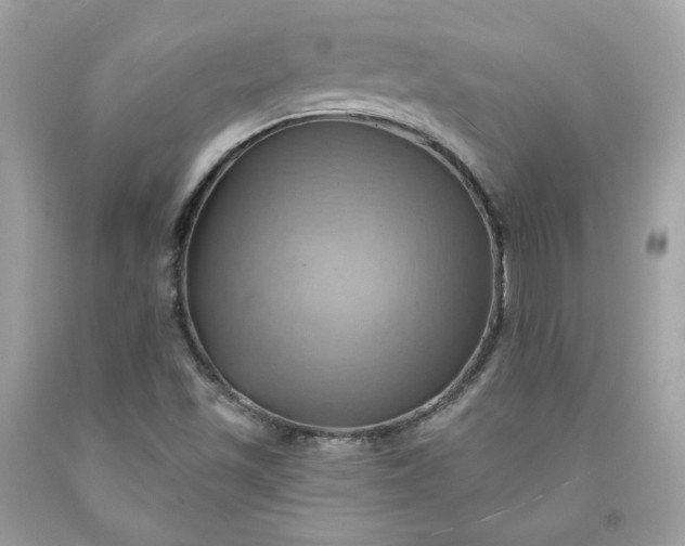 X0000091581501200709051049