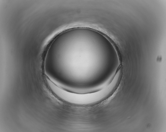 X0000091581502200709051049