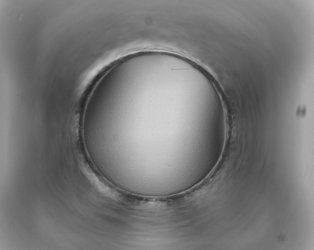 X0000091581503200709051049