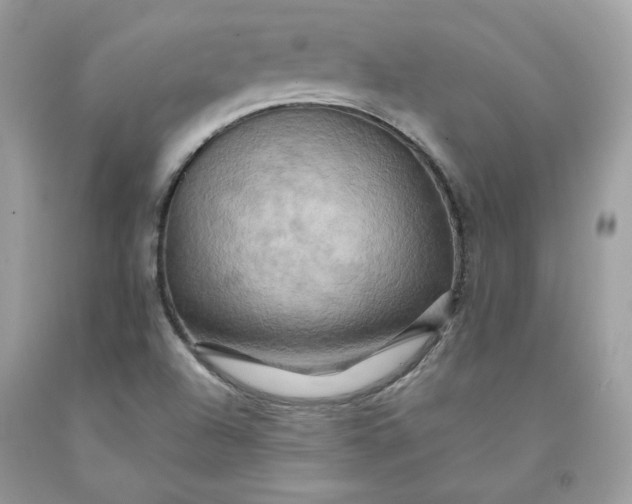 X0000091581504200709051049