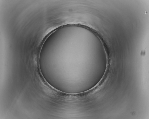 X0000091581505200709051049