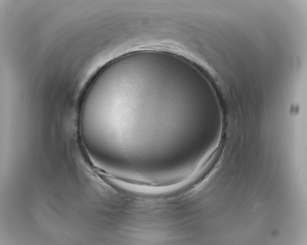 X0000091581506200709051049