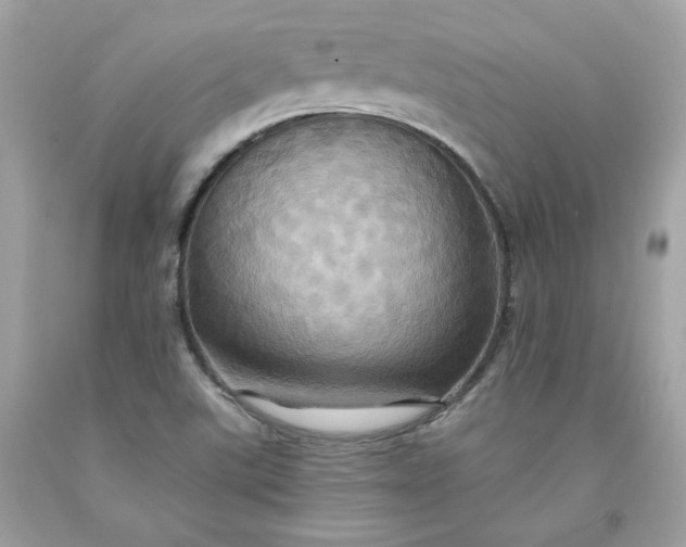 X0000091581507200709051049