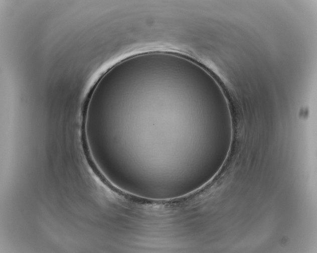 X0000091581508200709051049