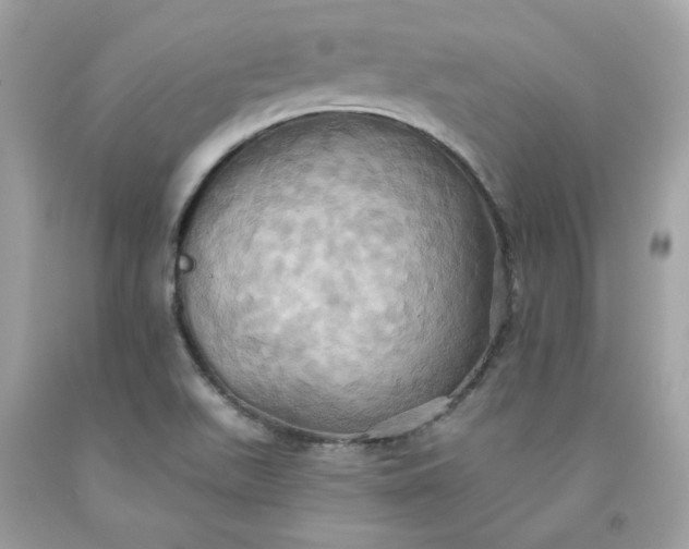 X0000091581511200709051049