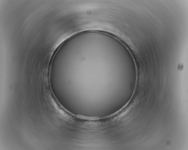 X0000091581513200709051049